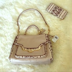 Coach Madison Sadie in two-toned Python